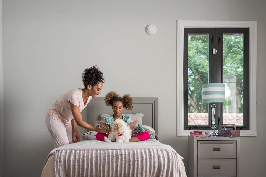 smoke & carbon detector Dover